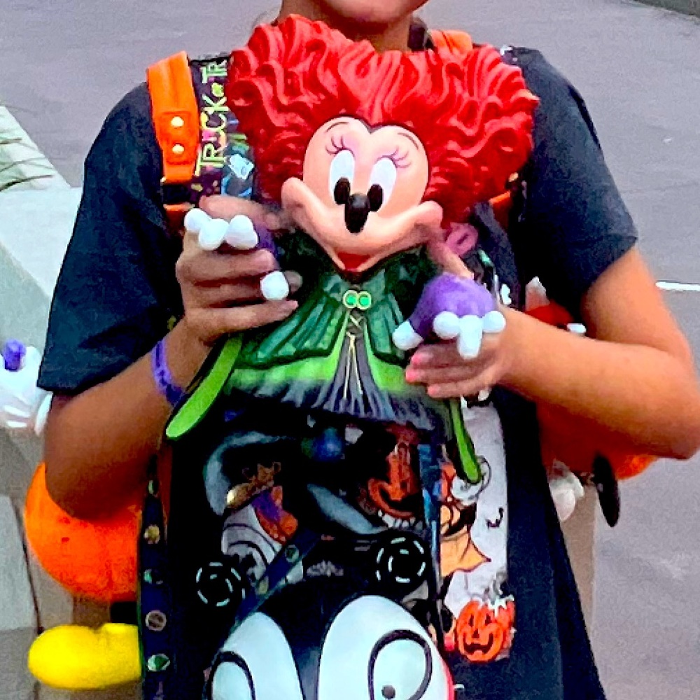Disney 2024 Minnie Sipper cup